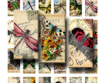 Butterflies and Dragonflies - Digital Collage Sheet - 1 x 2 inch Domino - INSTANT DOWNLOAD