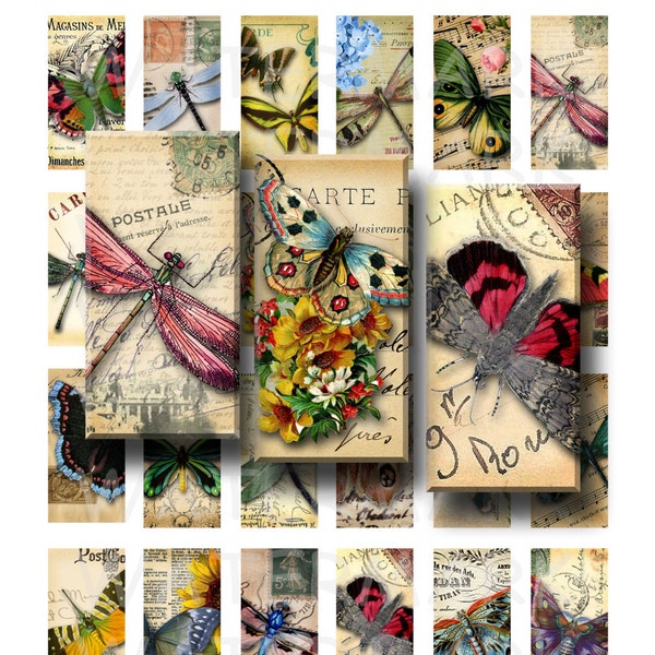 Butterflies and Dragonflies - Digital Collage Sheet - 1 x 2 inch Domino - INSTANT DOWNLOAD