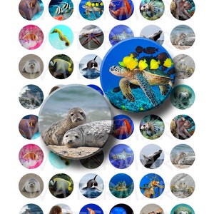 Animaux de la mer - feuille de collage numérique - cercles ronds de 1 pouce - TÉLÉCHARGEMENT IMMÉDIAT