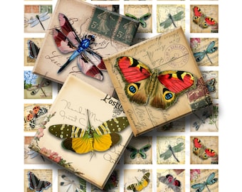 Butterflies and Dragonflies  - Digital Collage Sheet  - 1 inch (1 x 1) - INSTANT DOWNLOAD