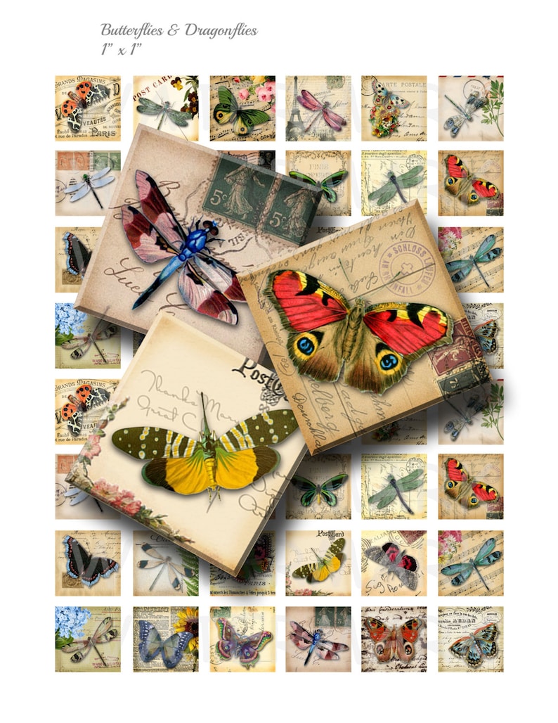 Butterflies and Dragonflies - Digital Collage Sheet - 1 Inch (1 X 1 ...