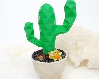 May include: A green geometric cactus in a white pot with black gravel, a small succulent, and a brown stone. The cactus has a faceted design. The pot is a light beige colour. The overall theme is home decor.