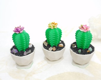 3D Printed Mini Desktop Cactus, Home Decor, Office Gift, Succulent Cactus Flower, Potted Artificial Plant