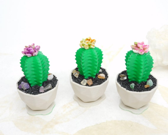 US Seller Handmade Glass Potted Plants, Succulents, Artificial Cactus,  Decoration Super Cute Gifts 
