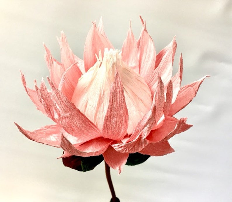 Protea King Crepe Paper Flowers Etsy