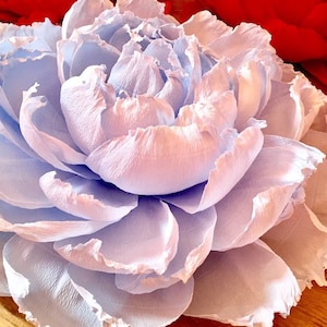 Incredibili peonie giganti! Decorazione da parete peonie di carta, fiori di carta, peonia gigante