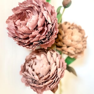 Fiori di carta crespa di peonia Mocha Mouse, fiore marrone