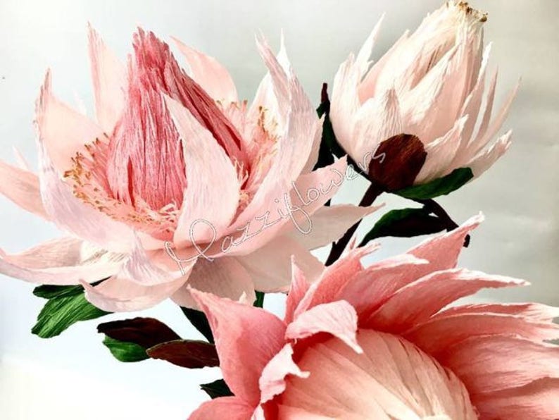 Protea king crepe paper flowers Etsy