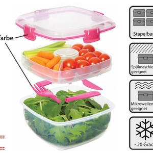 Salatdose für die Schule, Salatbox für unterwegs Bild 8