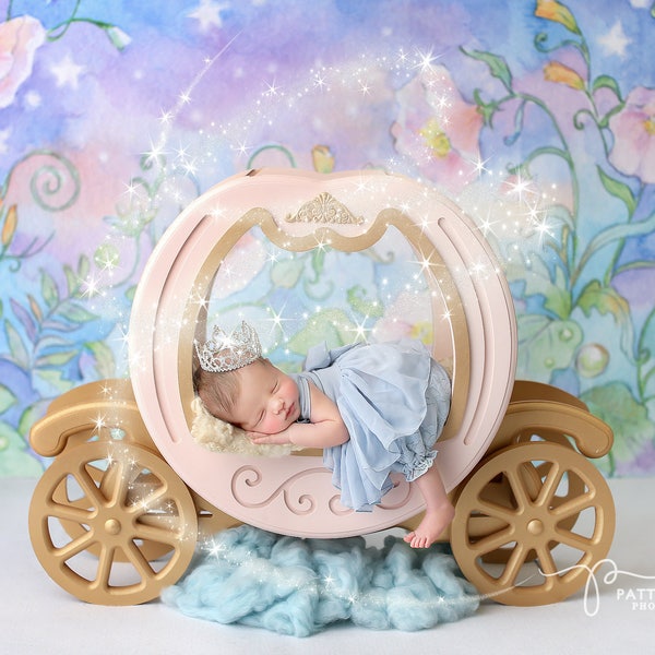 Tia Dress • Newborn Princess • Newborn Sheer Dress • Sitter Set with Bow • Adorable Newborn Gown