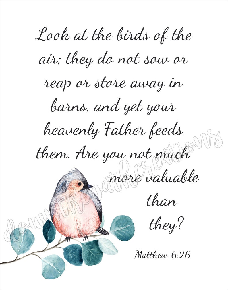 Look at the Birds of the Air Bible Verse Print Matthew 626 Etsy