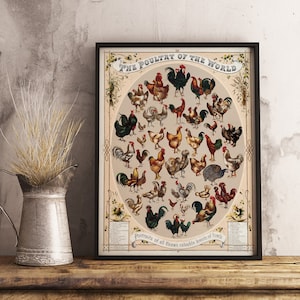 Vintage Poultry of the World Print Poster - INSTANT DOWNLOAD - Rooster, Chicken, Hen Breeds, Antique, Home Decor, Farm house Art