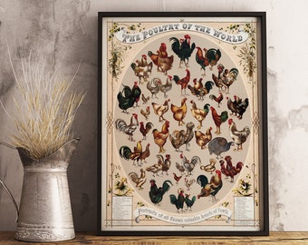 Vintage Poultry of the World Print Poster - INSTANT DOWNLOAD - Rooster, Chicken, Hen Breeds, Antique, Home Decor, Farm house Art