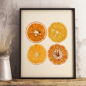 Orange Citrus Art Print, Printable Vintage Illustration, Instant Download, Antique Botanical Fruit, Kitchen Wall Art, Farmhouse Decor image 1