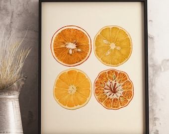 Orange Citrus Art Print, Druckbare Vintage Illustration, sofortiger Download, antike botanische Zitrusfrucht, Wandkunst für Küche, Bauernhausdekor