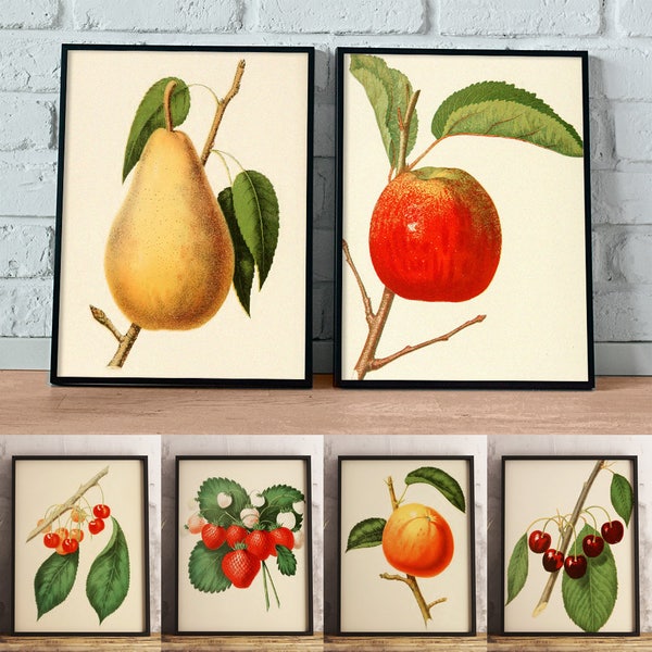 Vintage Fruit Prints, Set of 6, Printable Kitchen Art, Apple, Pear, Cherries, Strawberries, Instant Download, Botanical Print, Farm House