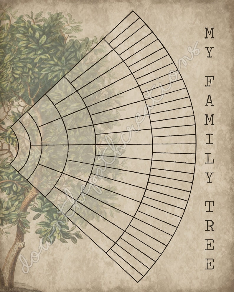 6 Generation Family Tree Fan Chart Instant Download Printable, Vintage Wall Art, Ancestry, Genealogy, DIY Gift, Blank Template, pedigree image 2