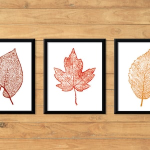 Puede incluir: Tres impresiones enmarcadas de ilustraciones de hojas estilizadas. La impresión de la izquierda presenta una hoja roja en forma de corazón. La impresión del centro presenta una hoja de arce roja. La impresión de la derecha presenta una hoja naranja.