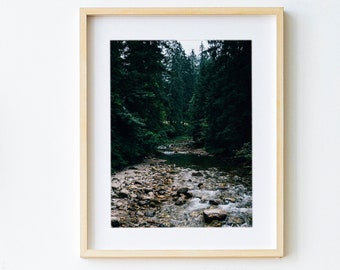 Mountain River Photography | Forest Stream Photo Print | Nature Photograph | Wilderness Print | River Photo Print | Printable Photo Art