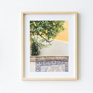 Lemon Tree Print - Neutral Printable Art - Azulejo Tiles in Portugal Photo Print - Lisbon Wall Art Digital Download