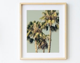 Palm Tree Print | Palm Tree Photo Printable | Tropical Summer Print | Beach House Decor | Digital Photo DOWNLOAD | Palm Tree Decor