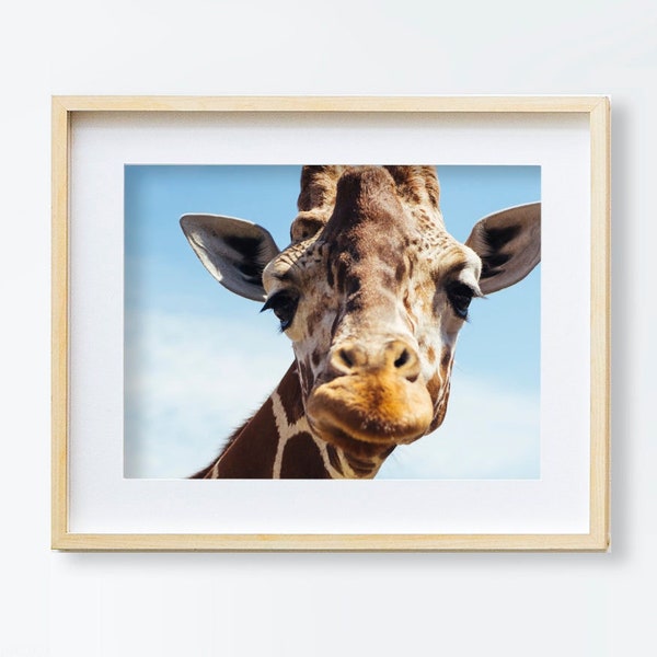 Giraffe Photo Print | Giraffe Portrait | Giraffe Print | Animal Print | Animal Photography | Animal Printable Art | Digital Download