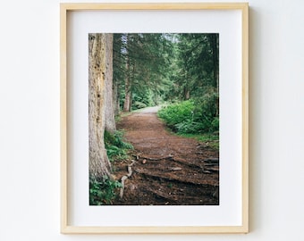 Forest Path Print | Forest Photo Print | Printable Forest Wall Art | Digital Download | Nature Printable Art