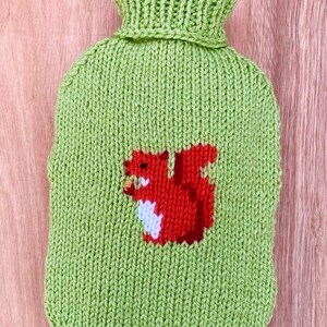 May include: Green knitted hot water bottle cover with a red squirrel design.