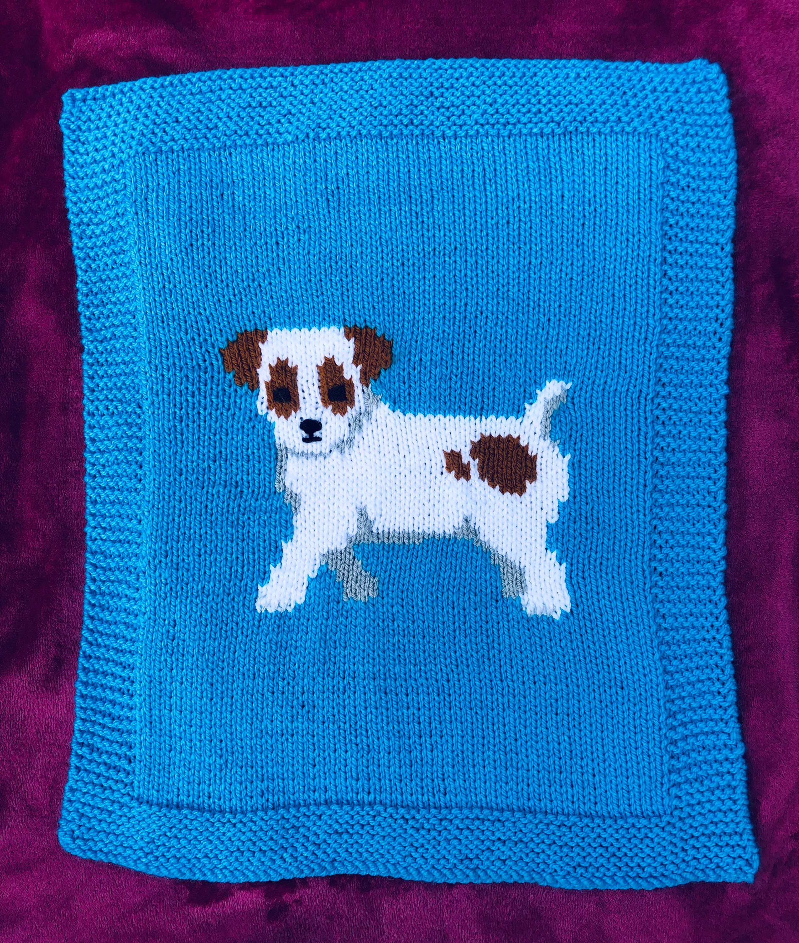 jack russell knitting pattern