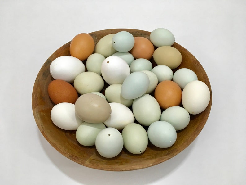 10 Real Blown Eggs Easter Ornaments Empty Eggs Egg Etsy