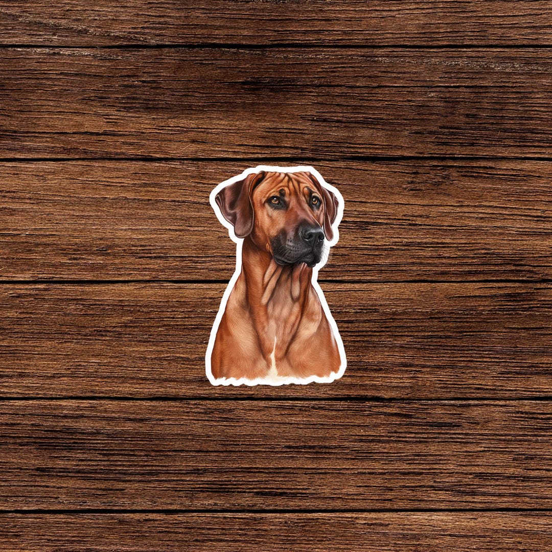 INDIGOS UG Adesivo Auto JDM – Rhodesian Ridgeback Dog Decal, Nero, 88x99 Mm, Taglio Die Cut
