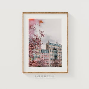 Paris Photography Print: Pink Apartment, Cherry Blossoms, Travel Art