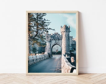 ASHFORD CASTLE MEDIEVAL GALWAY IRELAND IRISH LUXURY HOTEL TRAVEL POSTER REPRO ASHFORD CASTLE MEDIEVAL GALWAY IRELAND IRISH LUXURY HOTEL TRAVEL POSTER REPRO