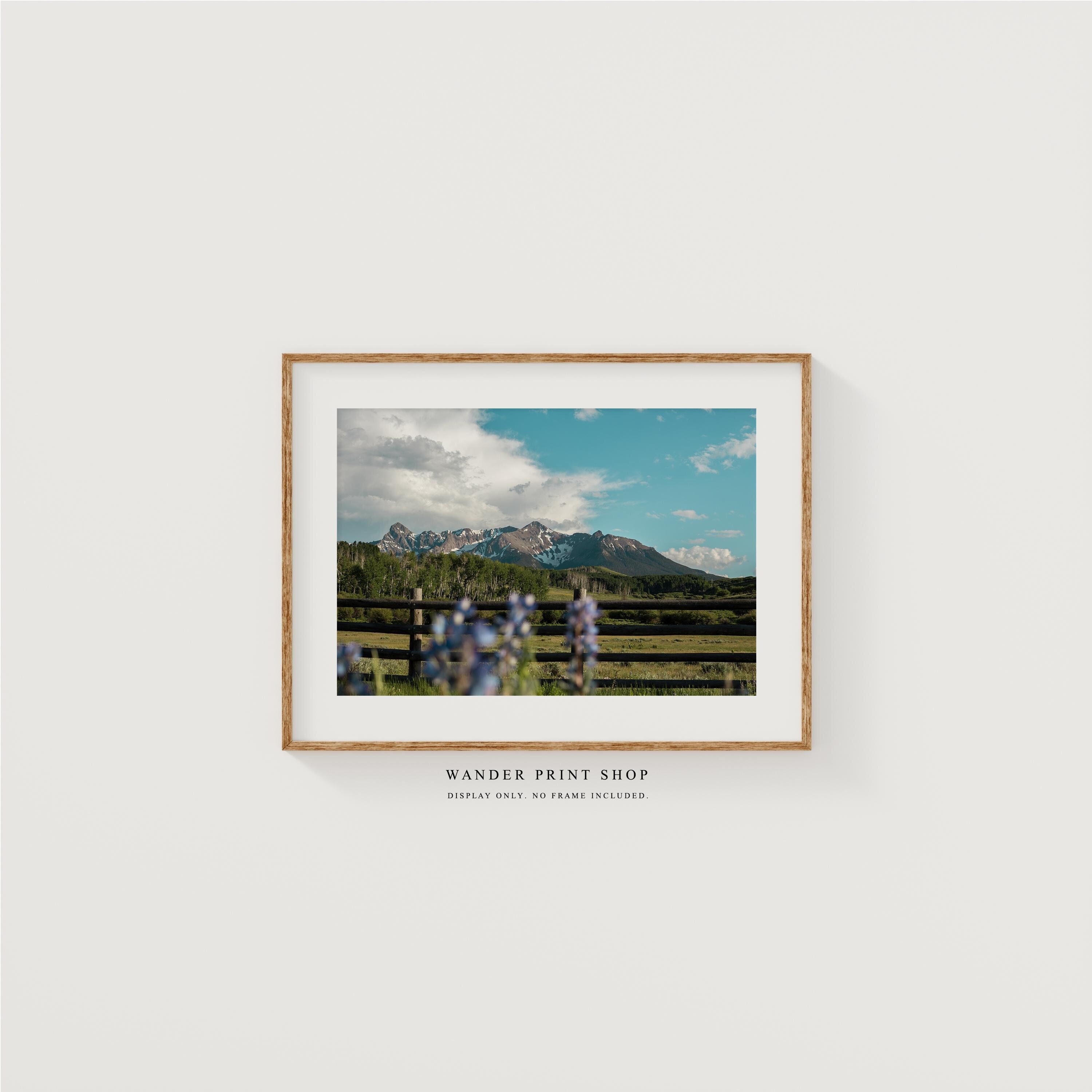 Rocky Mountain Photography Print: Colorado Wildflower Meadow Landscape