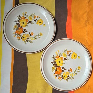 May include: Two off-white ceramic plates with a brown rim and floral design. The floral pattern features yellow and orange flowers with brown and green leaves. The plates are set on a colorful striped background.