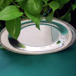 May include: Oval silver-plated serving tray with a rope-like border. The tray is highly reflective, with a polished surface. Green leaves from a plant are visible in the background, adding a touch of natural color to the scene.