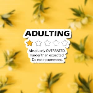 Funny Quote Sticker, Adulting Inspirational Quote Sticker, Positivity Quote Sticker, Water Bottle Sticker, Laptop sticker, Tumbler Sticker