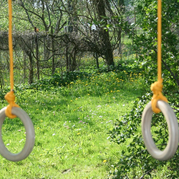 Gymnastic Rings Made of Plywood