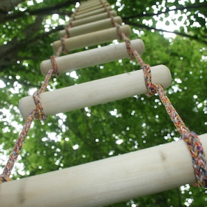 May include: A wooden ladder with rope rungs, hanging from a tree branch. The ladder is made of natural wood and the rope is multi-coloured.