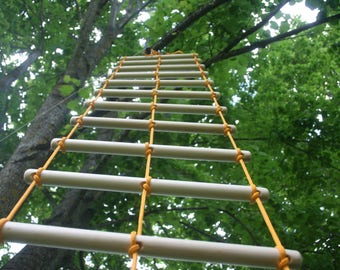 double wide climbing ladder