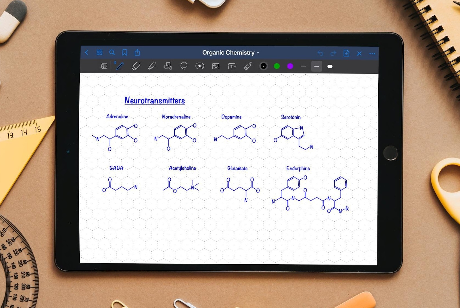 Organic Chemistry & Biochemistry Hexagonal Dotted Graph Paper Goodnotes