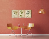 Kitchen wall decor, neutral prints set, botanical prints set, vintage wall art, gallery wall prints, herbs print set of 3
