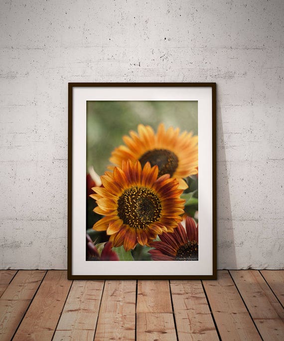 Flower Photography Home Decor Wall Art Sunflower Wall Art Etsy