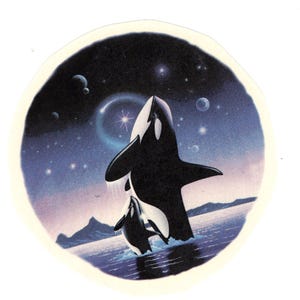 Sealife Orca Jumping Vintage Waterslide Decals, Ceramic Transfers (Set of 5, 1970s-80s)