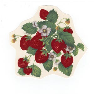 May include: A decorative paper cutout featuring a watercolor illustration of ripe strawberries with green leaves and white flowers. The strawberries are a vibrant red, and the leaves are a deep green. The artist's signature, "D. Hooup", is visible.