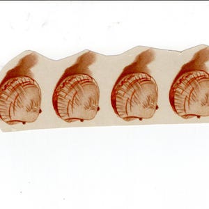May include: Four sepia-toned illustrations of scallop shells are arranged in a row. Each shell is depicted with detailed lines, showcasing the ridges and curves of the shell. The artwork is on a piece of paper with an irregular edge.