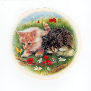 Może przedstawiać: Urocza ilustracja przedstawia dwa kocięta na trawiastym polu z czerwonymi makami, białymi kwiatami i żółtym motylem. Jedno kocię jest pomarańczowo-białe, drugie brązowo-czarne. Kocięta leżą i patrzą na motyla.