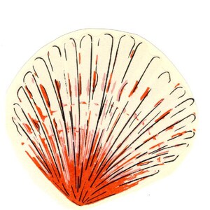 Könnte beinhalten: Eine Illustration einer Jakobsmuschel mit cremefarbener Basis, strahlenförmigen schwarzen Liniendetails und leuchtend orangefarbenen Akzenten, die sich an der Basis konzentrieren und fächerförmig zum abgerundeten oberen Rand hin verlaufen.