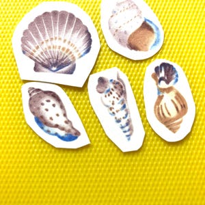Könnte beinhalten: Fünf einzelne Papierausstanzungen mit Aquarellillustrationen verschiedener Muscheln. Die Sammlung umfasst eine große fächerförmige Jakobsmuschel, eine abgerundete Spiralschnecke und drei längliche Spiralschnecken, alle in Braun- und Blautönen.