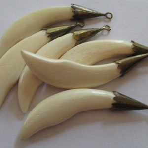May include: Five white, curved, tooth-shaped pendants with gold-colored metal accents and jump rings.